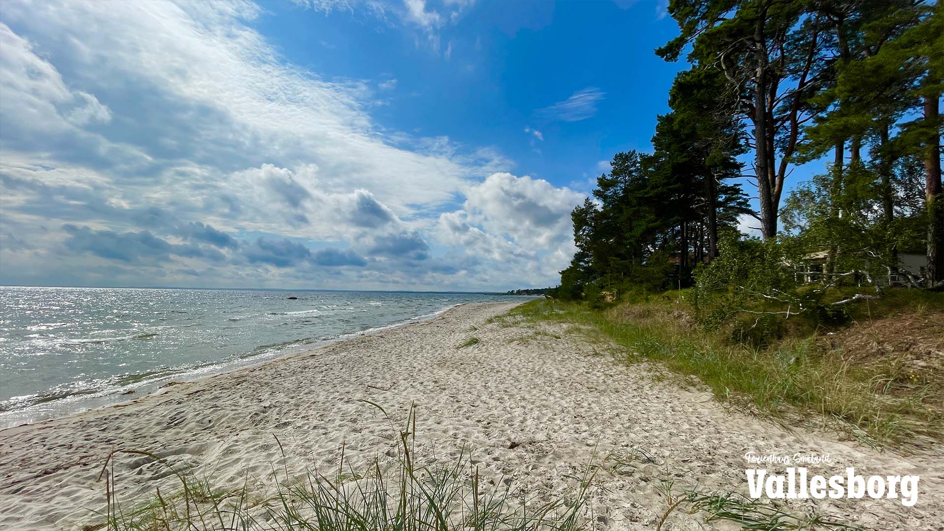 Absolut Åhus: Entdecke die Stadt hinter der Marke